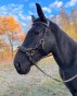 IMG_7430.jpeg