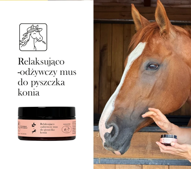 obraz_2026-07-08_144340169.png