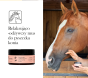 obraz_2026-07-08_144340169.png