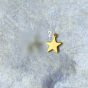 300.png